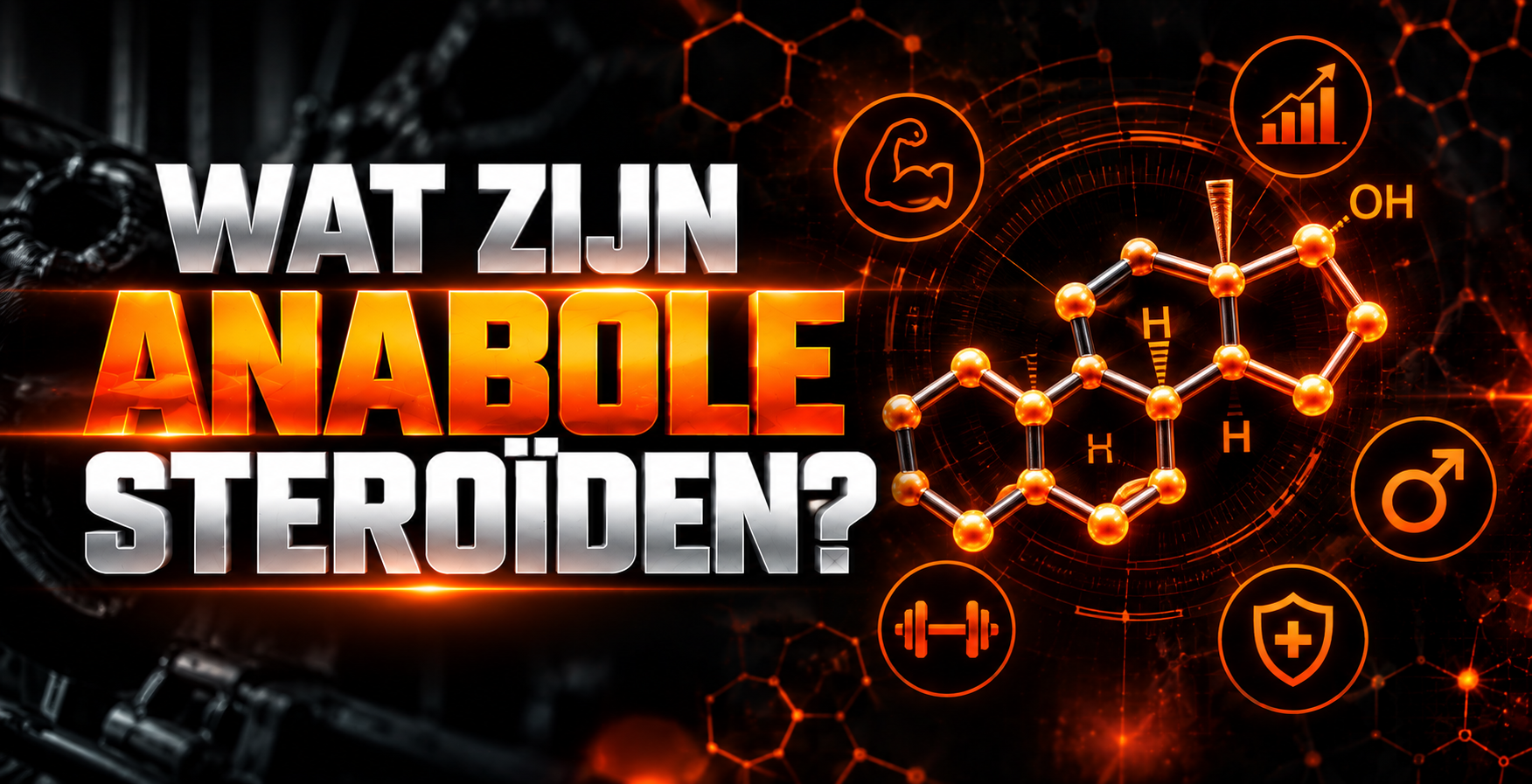 Wat Zijn Anabole Steroïden